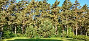 Villa by the Baltic Sea