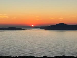 Heavenly View Yellow