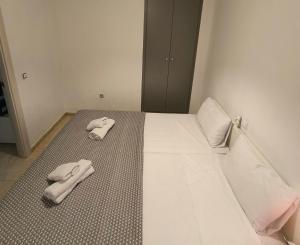 Central and Comfortable Apartment