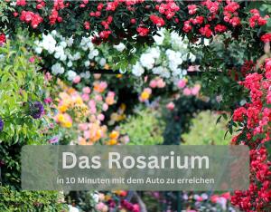 Lounge94 - Luxus auf 140 m2