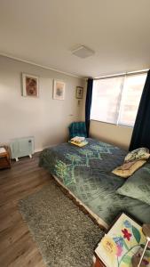 Cozy and nice apartment