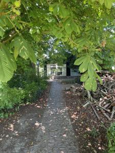 IJSSELMEER Lake houses