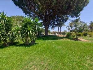 Maison Dépendance - Mas Des Catalanes