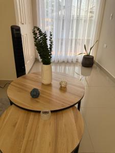 Beautiful apartment in Colonia Universidad