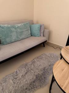 Beautiful apartment in Colonia Universidad