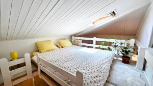 Appartements Petit nid au coeur du centre historique d-Annecy : photos des chambres