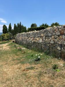 Maisons de vacances Petite maison en pleine nature a 10 km des plage de Cannes : photos des chambres