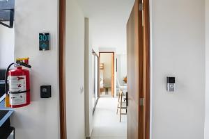 Amoara BuceriasRoof to pool