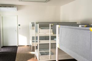 Mild Elephants Hostel