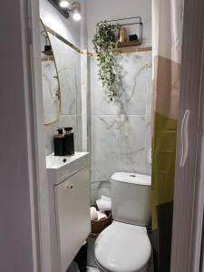 Studio cochet, aproape de centru