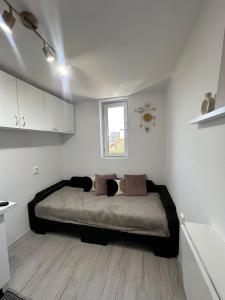 Studio cochet, aproape de centru