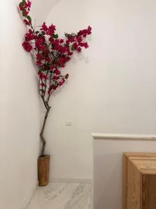 La Casetta dellArchitetto