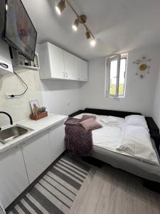 Studio cochet, aproape de centru