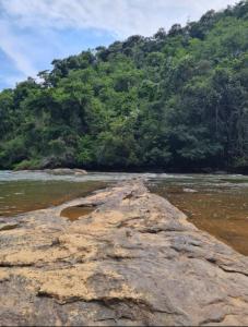 Casa de Campo em Domingos Martins
