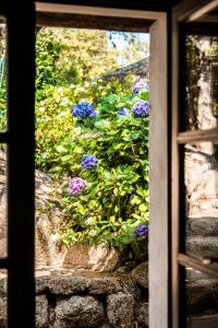 B&B / Chambres d'hotes A Melingrana : photos des chambres
