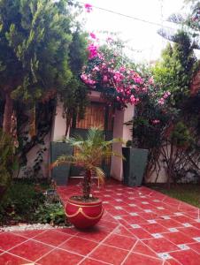 Magnifique villa pour vacances dété