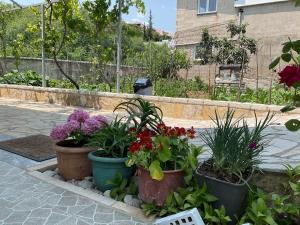 Garden Holiday Studios