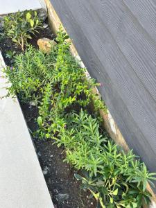 Microdepartamentos Chillán