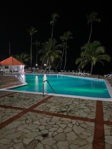 Vista palmera