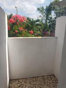 Coyaba Private Hilltop Jungle Retreat