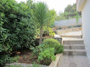 Apartment 2 Palme
