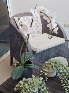 Luxury apartment in Santo Domingo Este