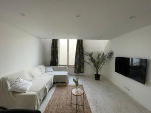 Duplex appartement