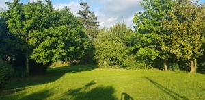 Maisons de vacances Ty Denise : photos des chambres