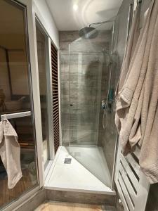 Luxury Studio near UN and Palexpo