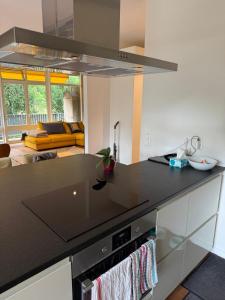 Luxury Studio near UN and Palexpo