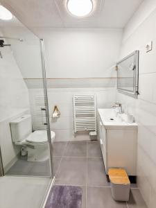 Appartements Appartement renove, lumineux au centre de Vic : photos des chambres