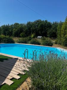 B&B / Chambres d'hotes Mas des Lavandes avec vue & Piscine en Provence, 15 min des gorges du Verdon VAR : photos des chambres