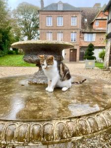 Appartements Manoir des Pavements : photos des chambres