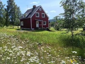 House in the middle of forests and lakes