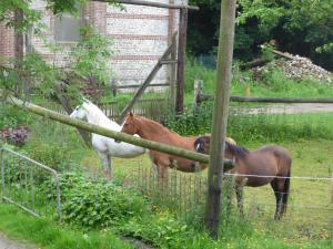 Sejours a la campagne La Ferme du Manoir Etretat : photos des chambres