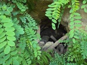 Kuća za odmor MIRTA