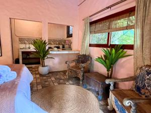 Kika Zaru Free park tour, massage and breakfast