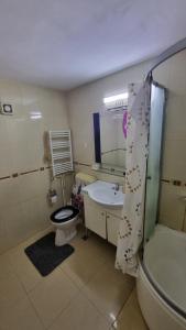 Garsoniera spațioasă