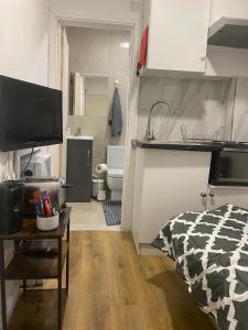 Cosy mini studio 6 minutes away from Wembley stadium