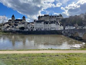 Appartements Gite SOUAI ET ZEN , 5 mn du Zooparc de Beauval : photos des chambres