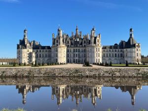 Appartements Gite SOUAI ET ZEN , 5 mn du Zooparc de Beauval : photos des chambres