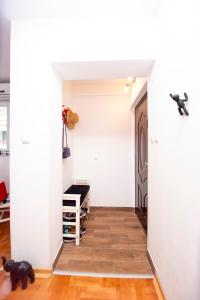 Casa Mimosa Bright and Soulful