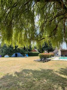 Tents @ Tomorrowland