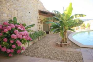 Villas L'intemporelle : photos des chambres