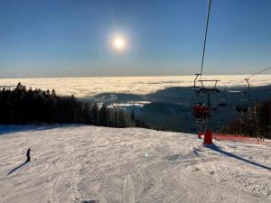 Aotearoa - Mountain apartment in Bavaria, Mitterdorf - Mitterfirmiansreut