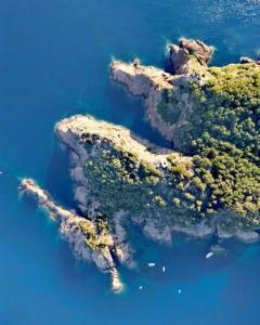 Providencia 3 - Shipyard and Yacht crews