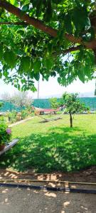 Guest House Kastraki