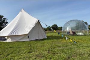 Cozy Dog Friendly Hot Tent With Log Burner & Logs
