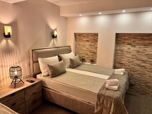Superior Apartment with River View Terrace room in Pansion River