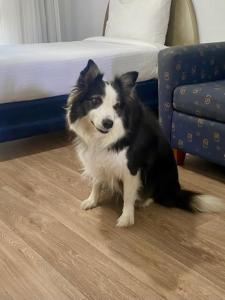 Macquarie Barracks Motor Inn